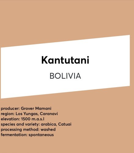 CASINO MOCCA Kantutani BOLIVIA espresso
