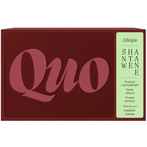 Quo Coffee Ethiopia Shantawene filter