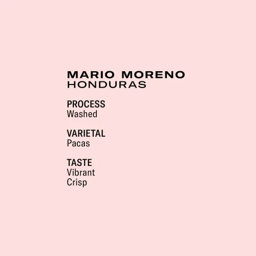 FRUKT Coffee Mario Moreno Honduras  OMNI