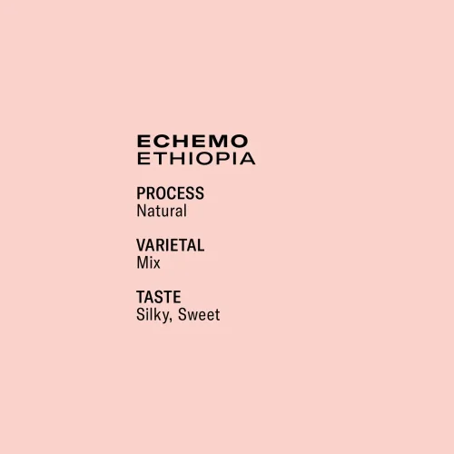 FRUKT Echemo ETHIOPIA OMNI