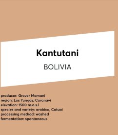 CASINO MOCCA Kantutani BOLIVIA espresso